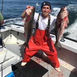 Meet your Posher, Mikey